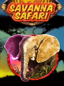 Savanna Safari