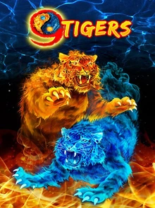 9 Tigers